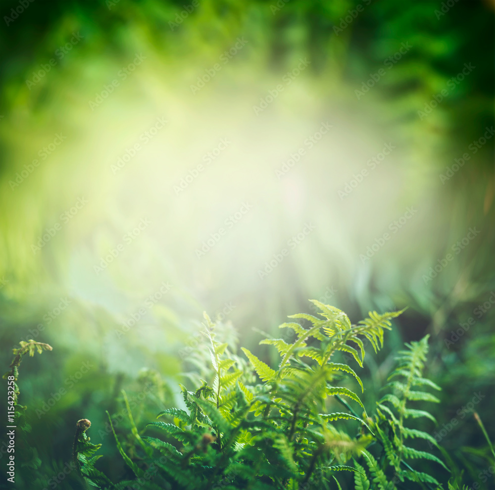 Premium Photo  A forest with a green jungle and a green jungle with a  light green background.