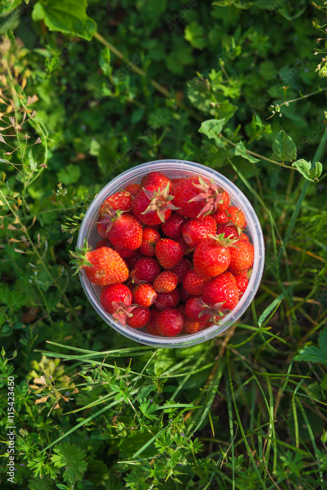 Ripe strawberry in the transparent cup in the village Ripe strawberry in the transparent cup in the village