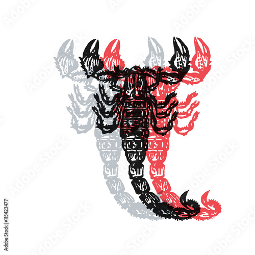 Vector Illustrated scorpion in engraved technic on white background