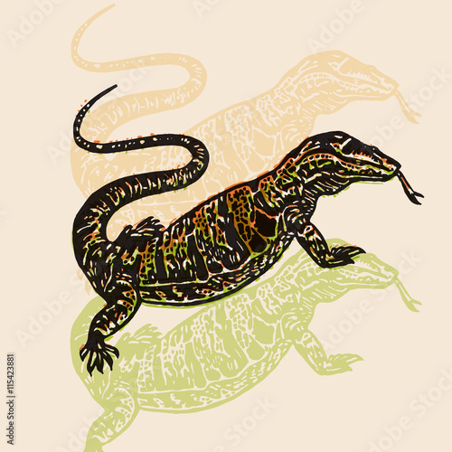 Vector Illustrated desert Varan in engraved technic on beige background