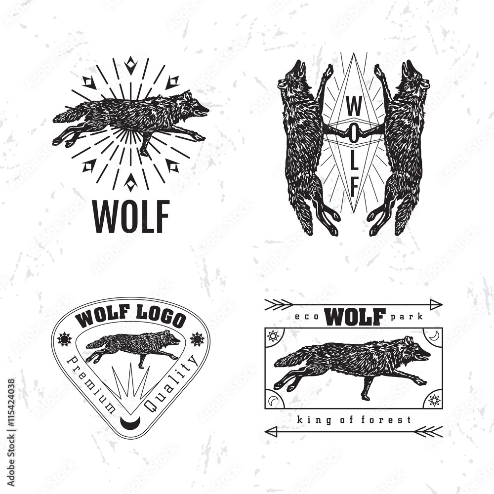 Vector black and white set with forest wolf. The wolf as main element ...