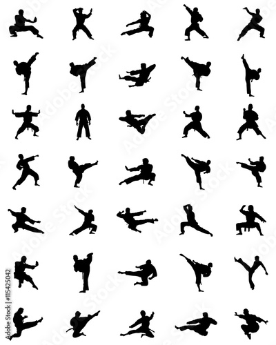 Black karate silhouettes on the white background, vector