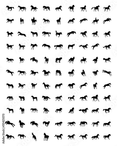 Black silhouettes of horses on the white background, vector