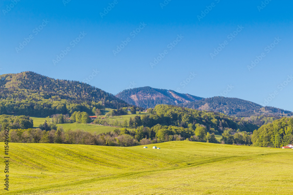 Typical Bavarian landscape for Alpine area with meadows and mountains.