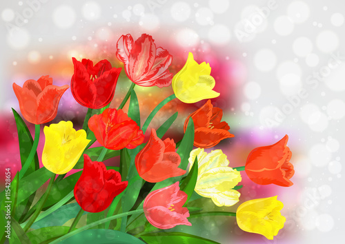 Colorful tulips background © Angelinna