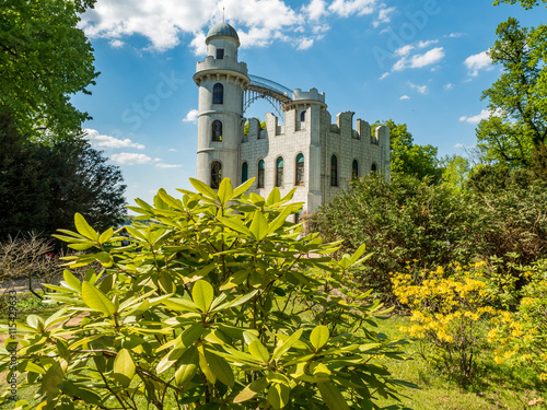 Romantic style palace surrounded by trees