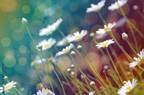 Abstract flower background in vintage style with soft selective