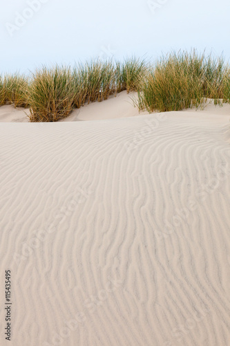 Wave pattern in the sand with tufts of grass