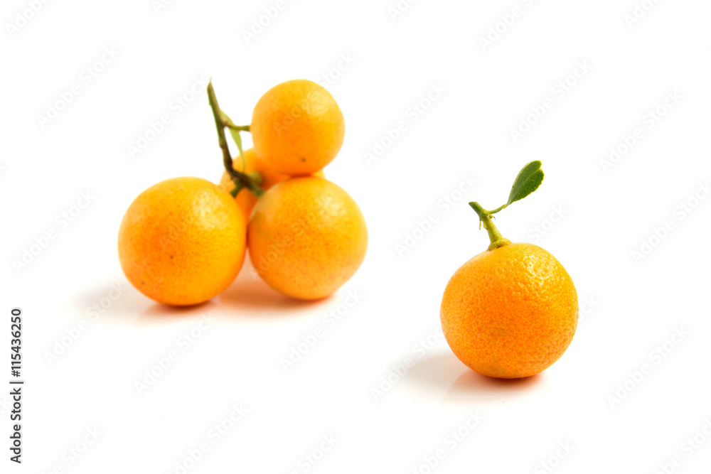 Orange Kumquat placed on white background Orange Kumquat placed on white background