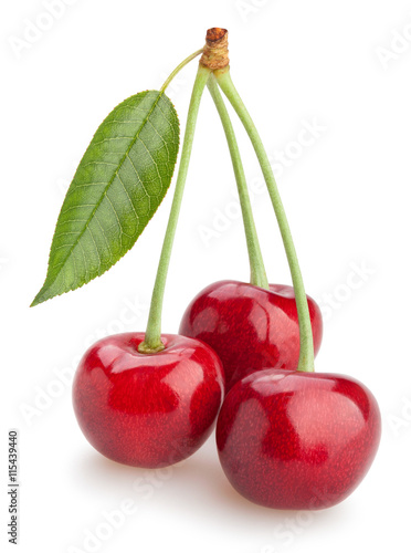 Tableau sur toile cherry