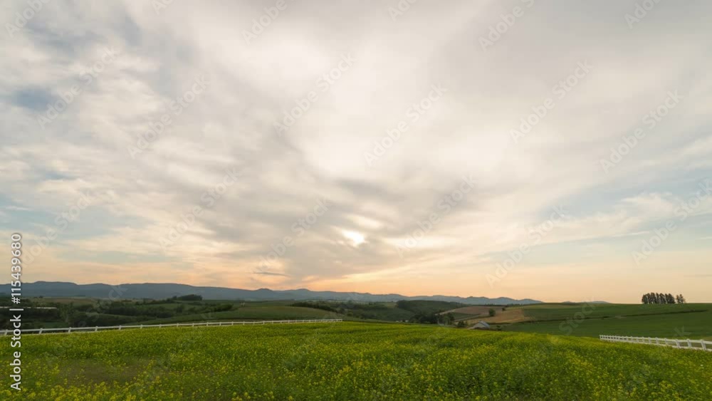 美瑛、新栄の丘展望公園で夕日が沈む タイムラプス4k 7秒間隔/ Time lapse of the sun setting in biei hokkaido japan 4k 美瑛、新栄の丘展望公園で夕日が沈む タイムラプス4k 7秒間隔/ Time lapse of the sun setting in biei hokkaido japan 4k