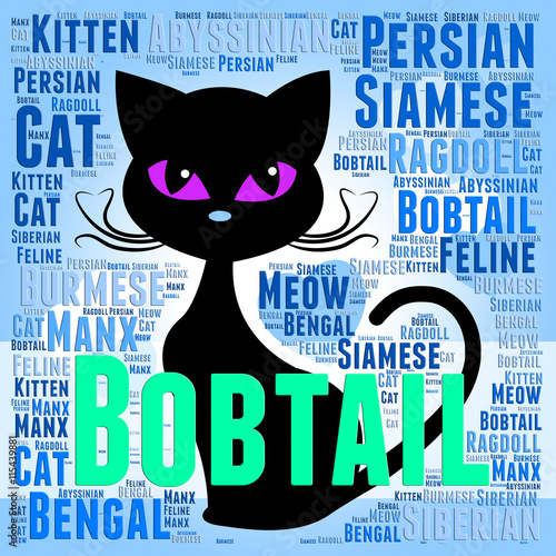 Bobtail Cat Represents Puss Mating And Reproducing photo