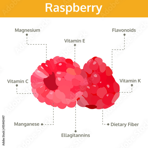 raspberry nutrient of facts and health benefits, info graphic