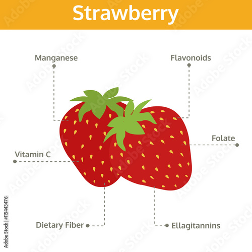 strawberry nutrient of facts and health benefits, info graphic