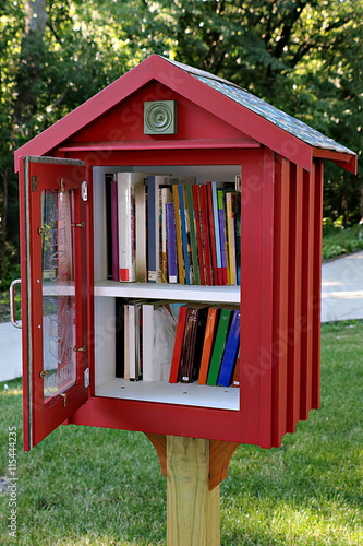 Sidewalk Library in Residential Neighborhood