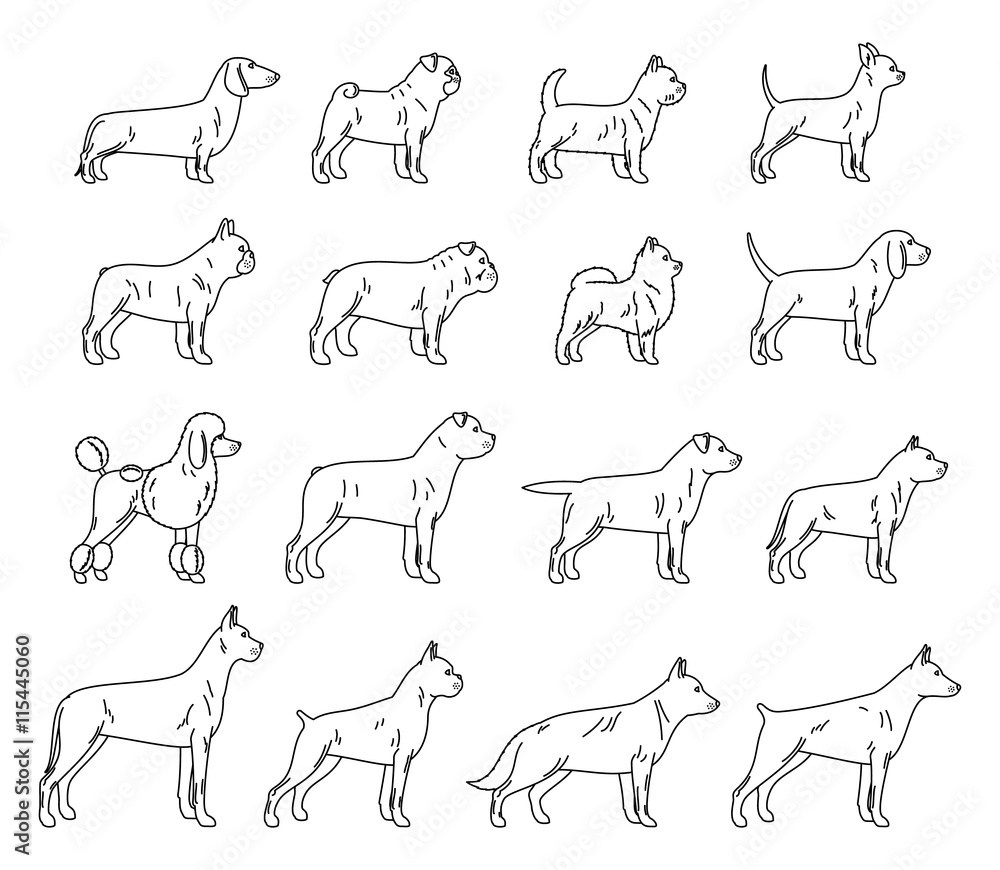 Vector dog thin line icons collection isolated on white Vector dog thin line icons collection isolated on white