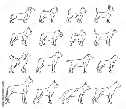 Vector dog thin line icons collection isolated on white