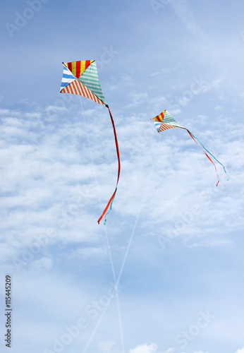Kites in the sky