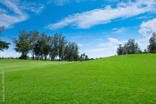 Landscapes Wide green lawns, golf courses.