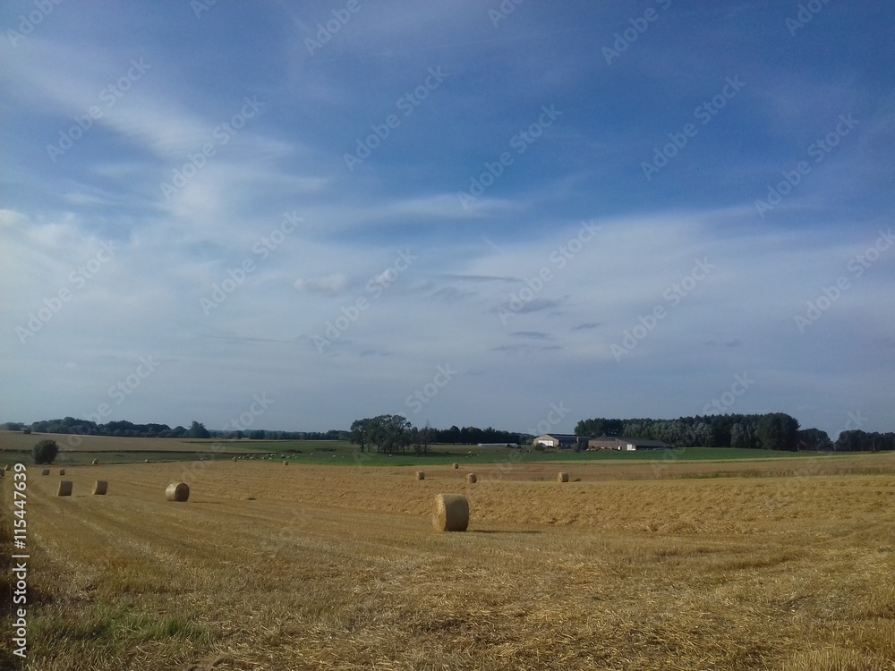 Obraz premium Paysage champêtre