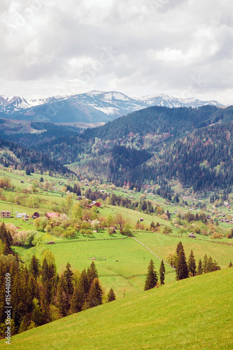 Carpathians mountain landscape