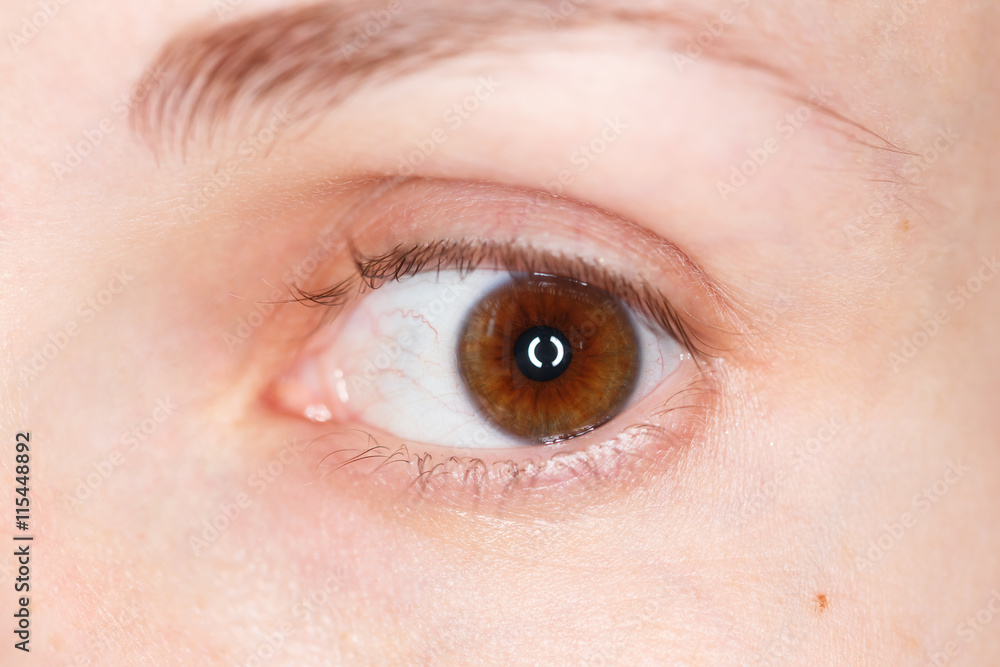 Obraz premium Human eye close-up