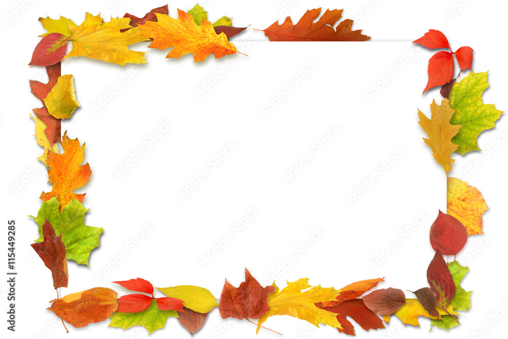 Herbst 101 Herbst 101