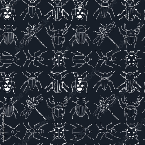 seamless pattern doodle sketch Bugs and beetles