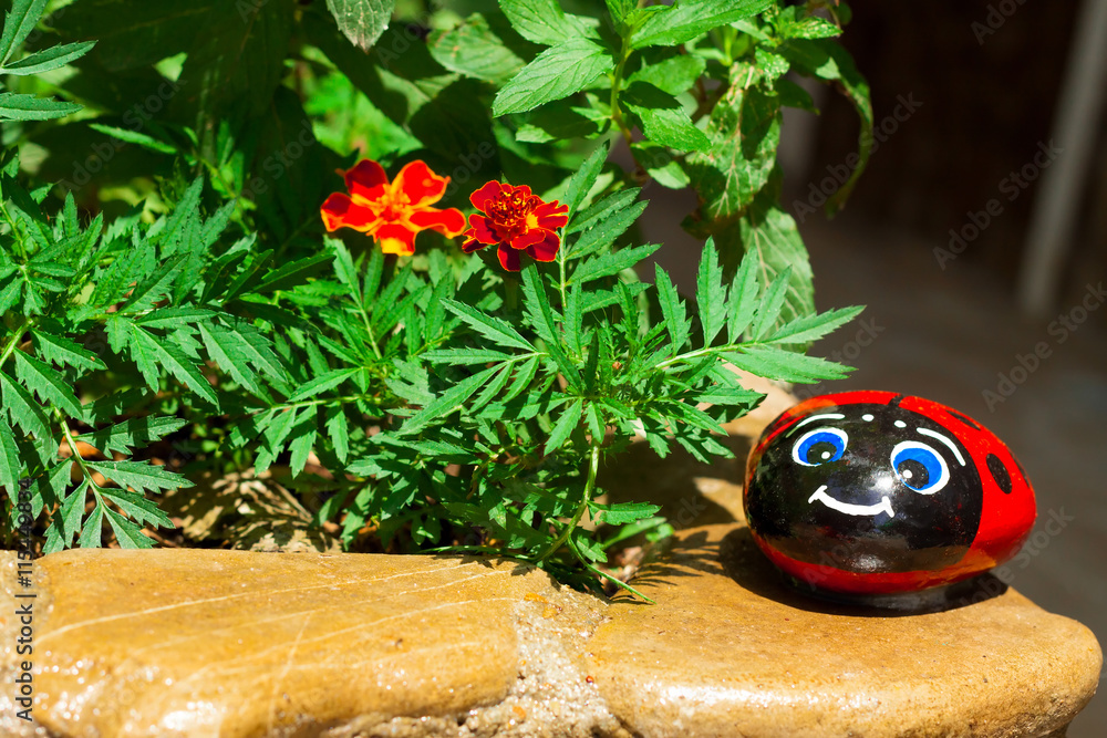 Naklejka premium beautiful beetle sits on a rock in the colors