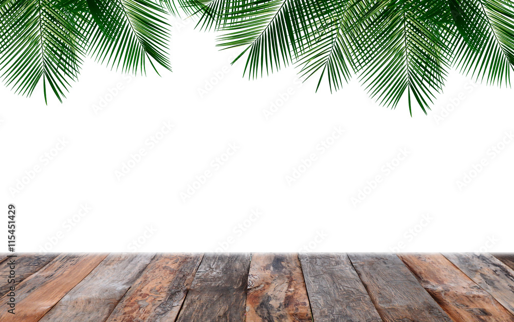 Old planks with plam leaves and white background,Design for repl Old planks with plam leaves and white background,Design for repl