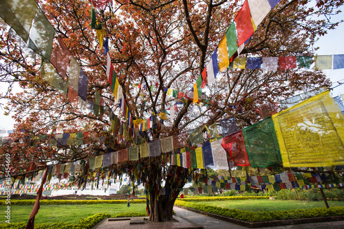 Buddhist praying flags in Lumbibi, Nepal photo