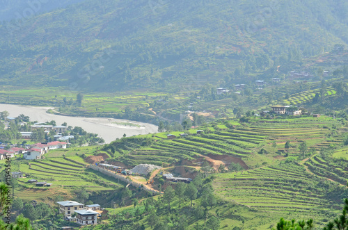 Beautiful Rice Terraces in Punakha  Bhutan