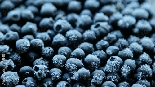 frozen blueberries with frost