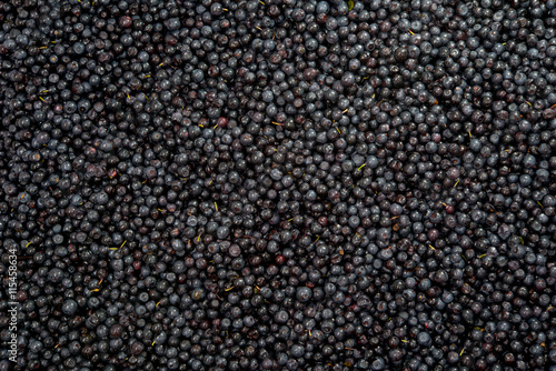 background blueberries close-up © ksena32