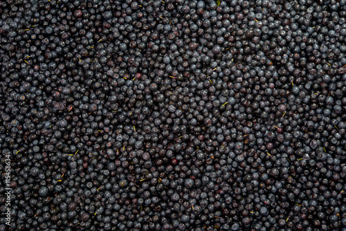 background blueberries close-up