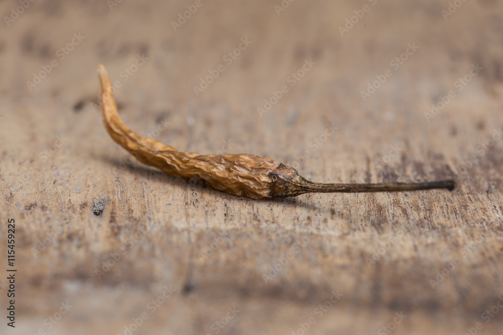 Closeup of the dried chili on the wood Closeup of the dried chili on the wood
