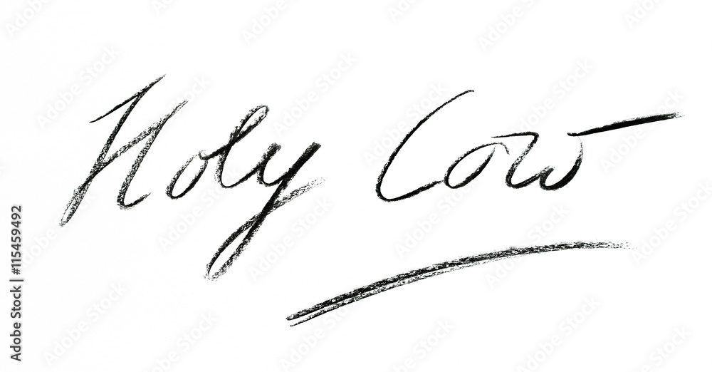 Holy Cow - handgezeichnete Illustration mit Zeichenkohle in schwarz Holy Cow - handgezeichnete Illustration mit Zeichenkohle in schwarz