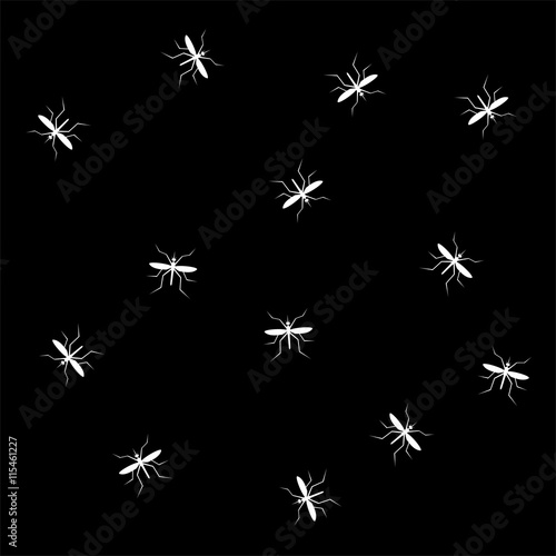 insect pattern