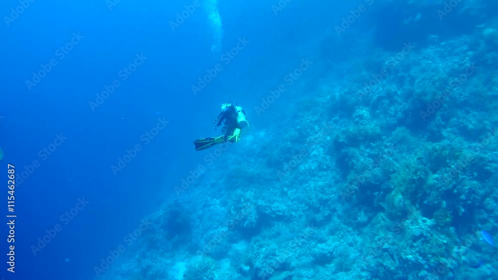 Female scuba diver with a coral reef, Red sea, Egypt, Africa
Female scuba diver with a coral reef, Red sea, Egypt, Africa