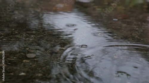 Raindrops falling on pond water natural surface slow motion 1080p HD footage - Riplles outdoor weather abstract background 1080p FullHD video  photo