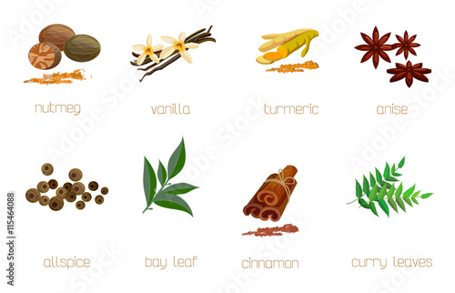 Set of Indian spices and herbs isolated on white.