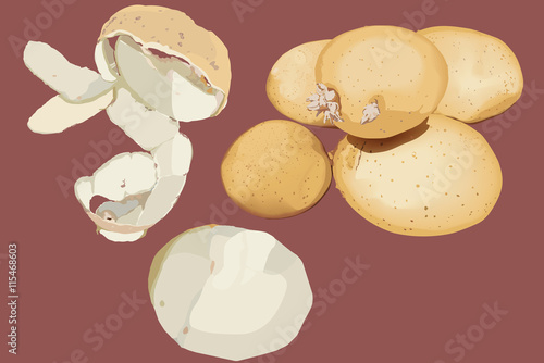 Solanum tuberosum. Potatoes. Ingredients in the kitchen for great recipes.