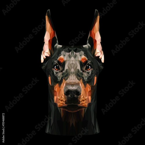 Doberman Pinscher Dog animal low poly design. Triangle vector illustration.