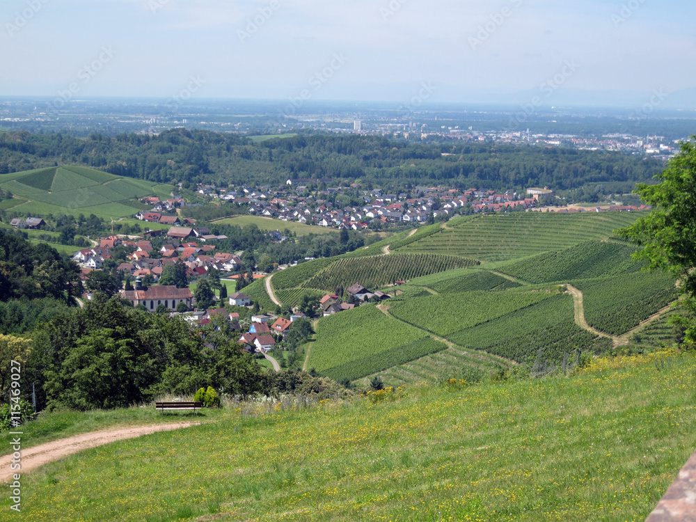 Obraz premium Durbach Sommer