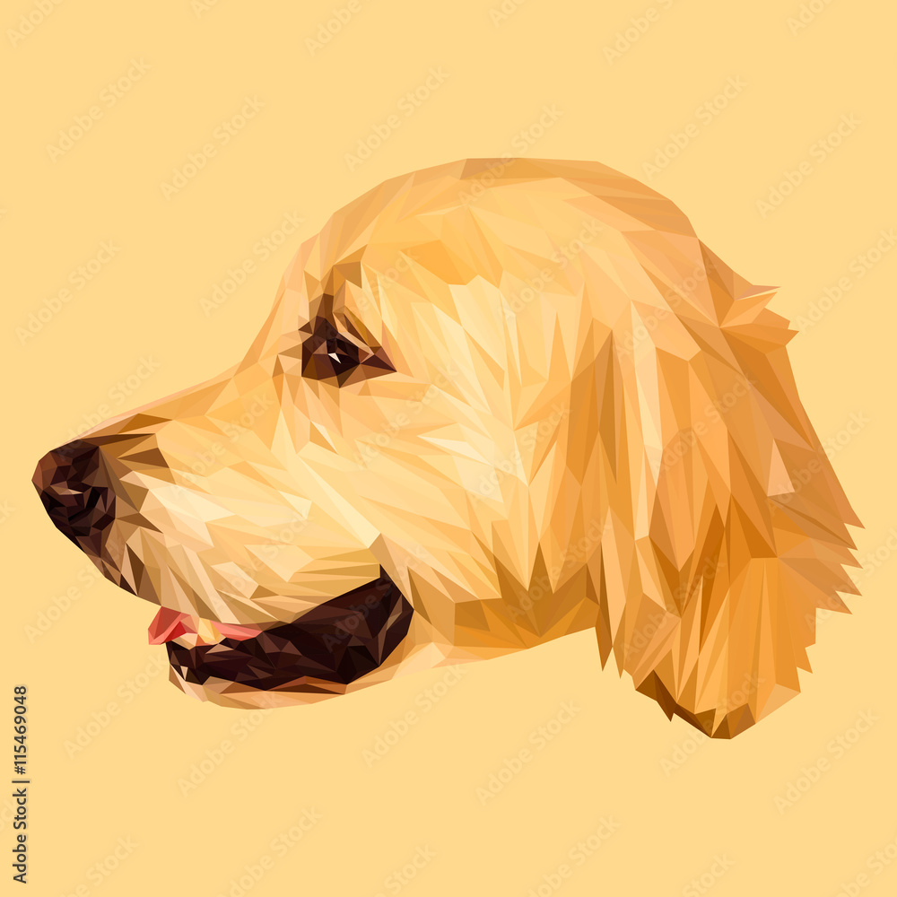 Golden Retriever Dog animal low poly design. Triangle vector ...