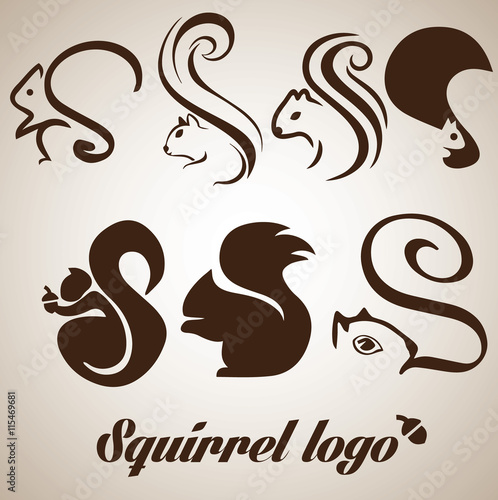 squirrel logo