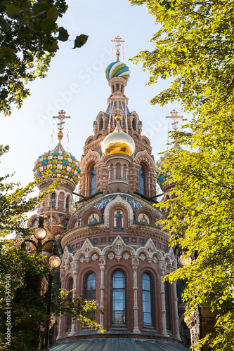 Church of the Resurrection of Christ the Savior on Spilled Blood in the trees.