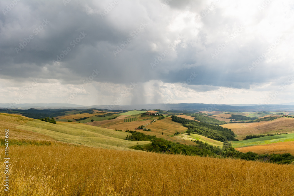 Fototapeta premium Light and shadow with hills and trees during a rainy day