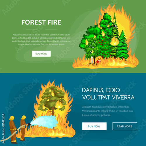 Firefighters in protective clothing and helmet with helicopter extinguish with water from hoses dangerous wildfire.Man fighter and rescue helicopter put out the fire in forest landscape damage vector