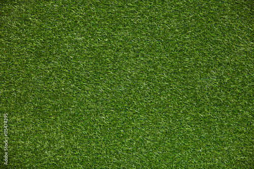Green lawn texture, background of green grass